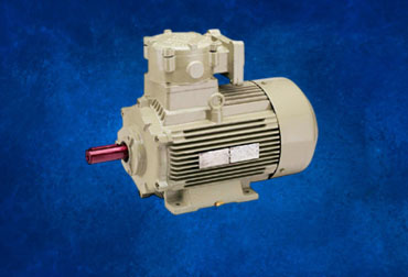 Hindustan Electric Motors