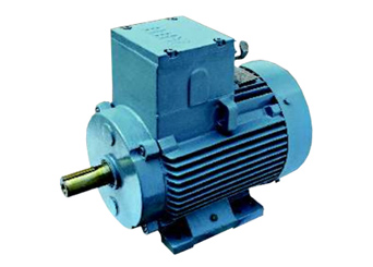Flame Proof Motors