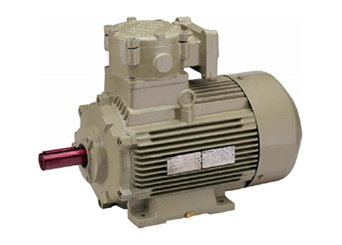 Flameproof Motors