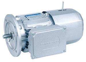 AC Electric Motors