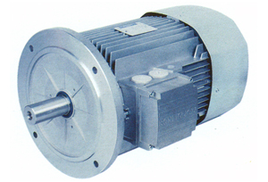 AC Electric Motors