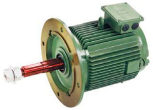 Cooling Tower Motors