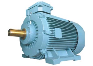 High Efficiency Motors