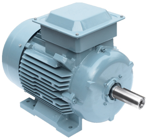 Premium Efficiency Cast Iron Motors