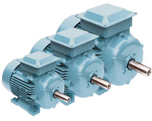 Premium Efficiency Cast Iron Motors