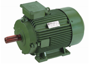 Special Application Motors