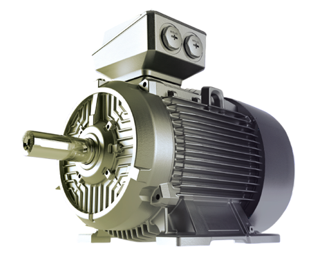 Crane Duty Motors / INNOMOTICS XP Motors