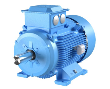 Crane Duty Motors – Standard & Flameproof