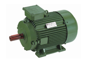 Special Application Motors