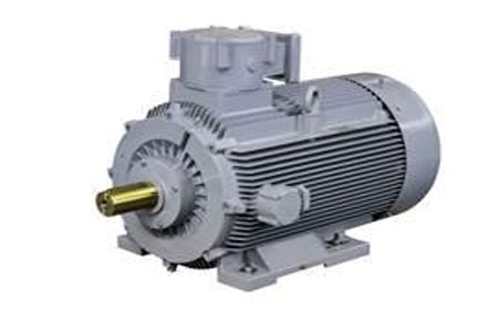 Multi Speed Motors – Standard & Flameproof