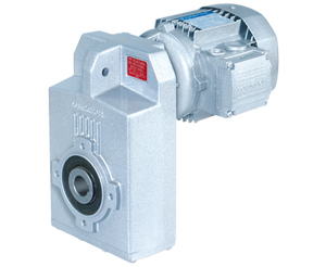 Parallel Helical Gear Motors